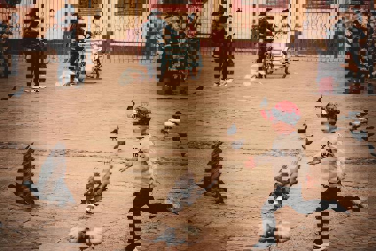 Burnt £50 Notes Mysteriously Appear Across Capital, Leaving Locals Baffled